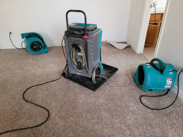 Best Flood damage cleanup  in Nora Springs, IA