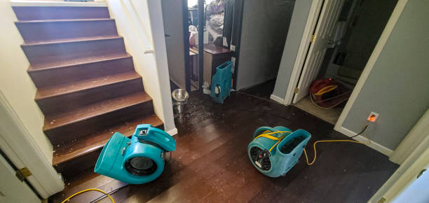 Best Water damage cleanup near me  in Nora Springs, IA