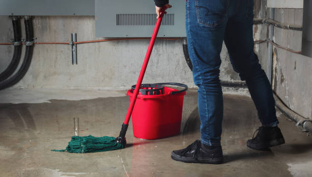 Best Carpet water damage restoration  in Nora Springs, IA