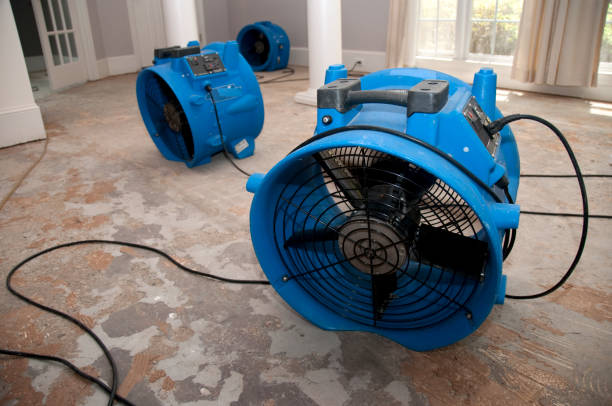 Reliable Nora Springs, IA Water damage restoration Solutions