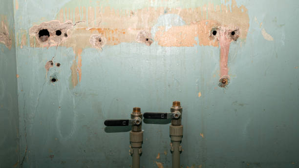 Best 24-hour water damage restoration  in Nora Springs, IA