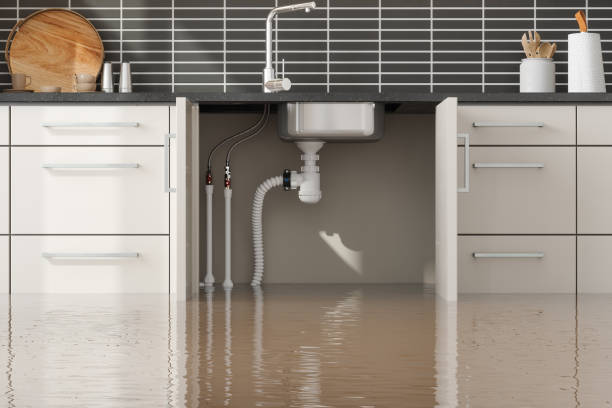 Best Ceiling water damage repair  in Nora Springs, IA
