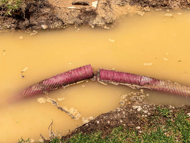 Best Basement water damage restoration  in Nora Springs, IA