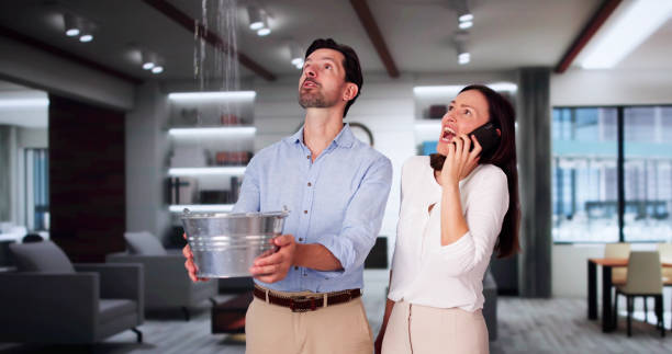 Best Water damage contractors near me  in Nora Springs, IA