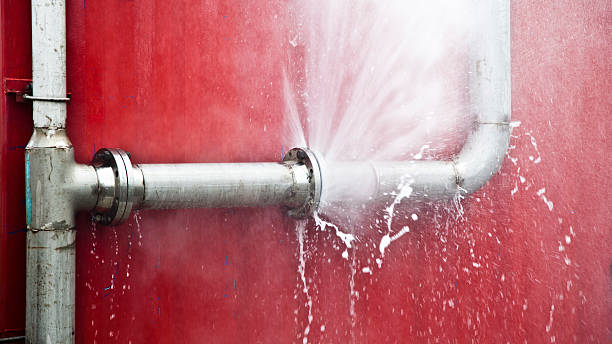 Best Fire Damage Restoration  in Nora Springs, IA